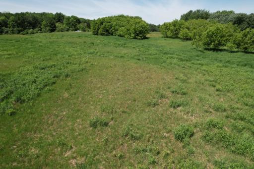 DJI_0217.JPG