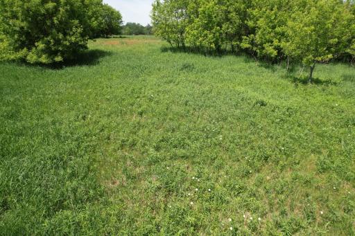 DJI_0218.JPG
