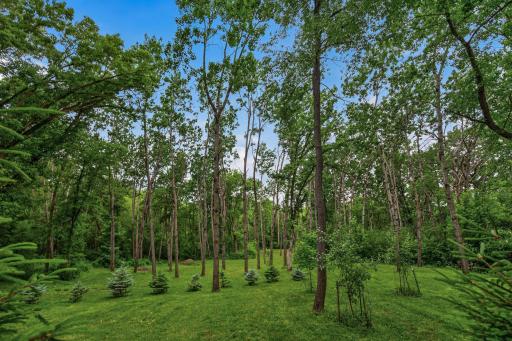1350 Oldridge Avenue N, Stillwater, MN 55082