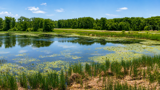 44817 State Hwy 210, Vining, MN 56588