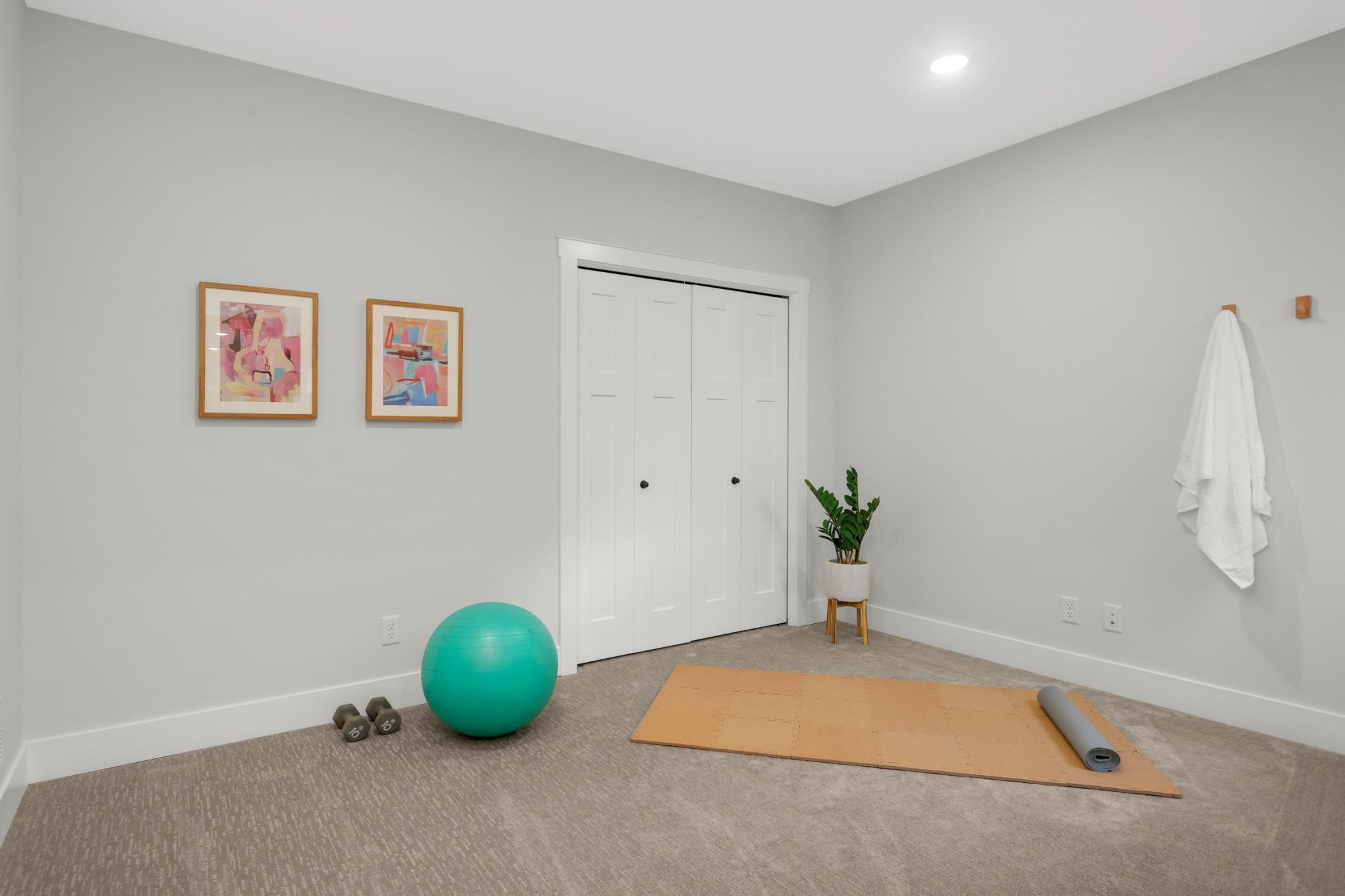 Flex Room or Lower Level Bedroom (#5)