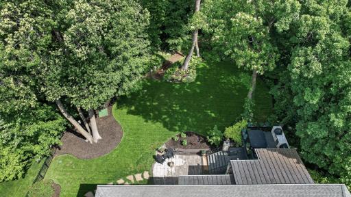 Private, tree-lined backyard oasis featuring lush green space, curated landscaping, and a peaceful setting ideal for outdoor gatherings or quiet retreat.