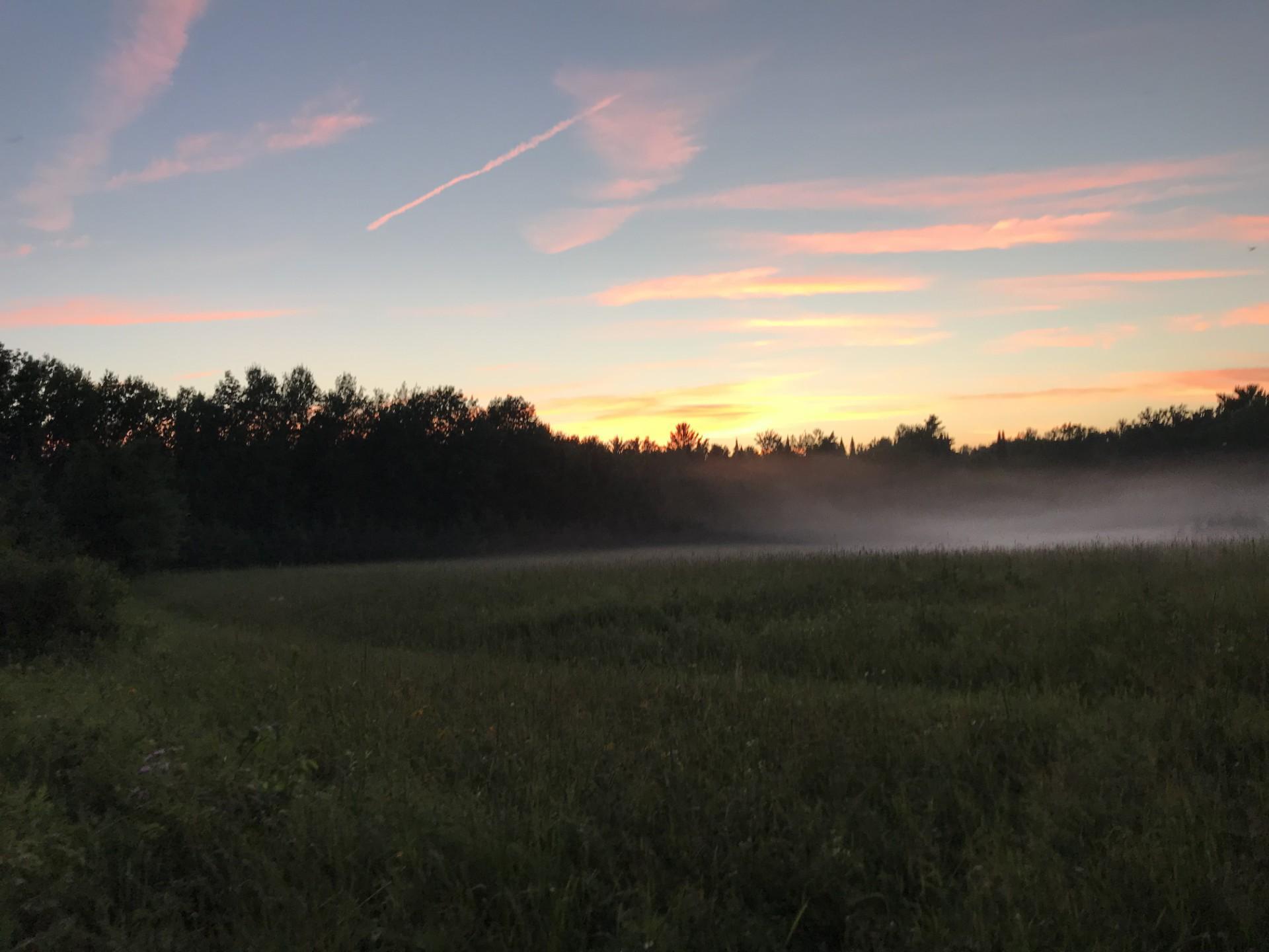 4d0e8b03-905b-4398-9f6c-3c0e7bb9ecac.jpg