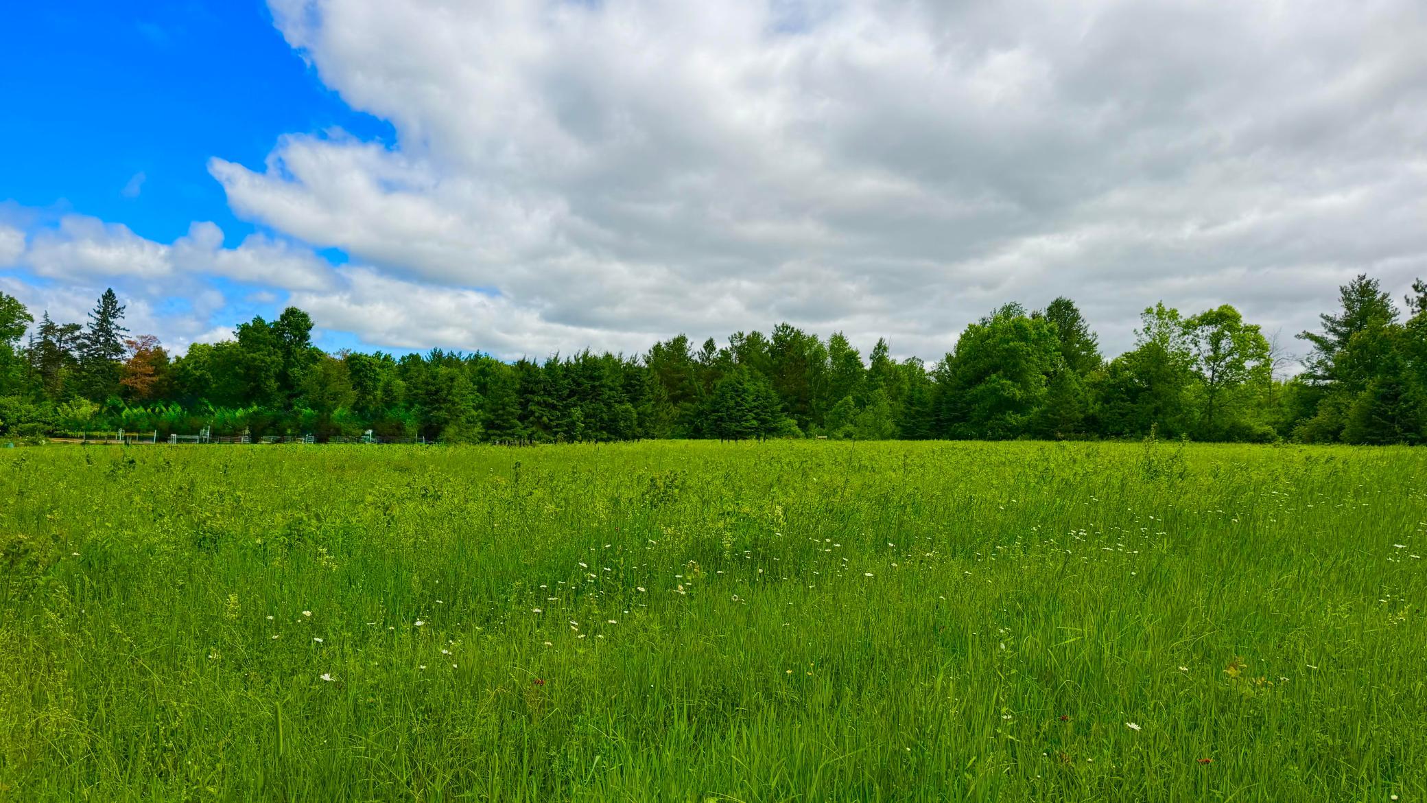 View lot.jpg