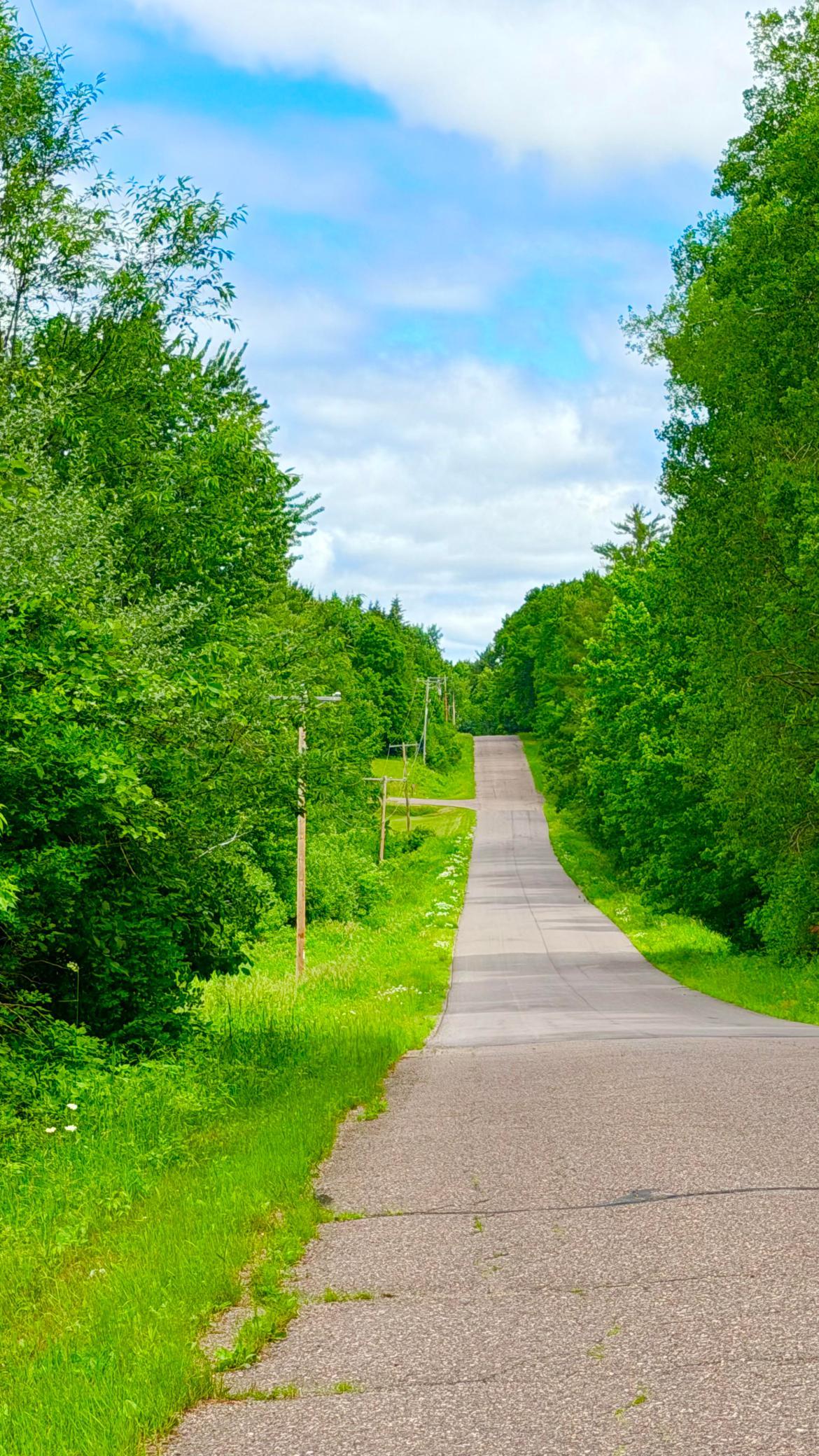 Road.jpg