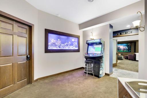 9401 Elm Court Prior Lake MN 55372-120 aquarium angle.jpg