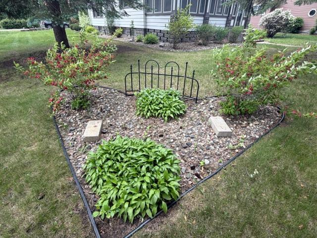 Perennial garden.JPG