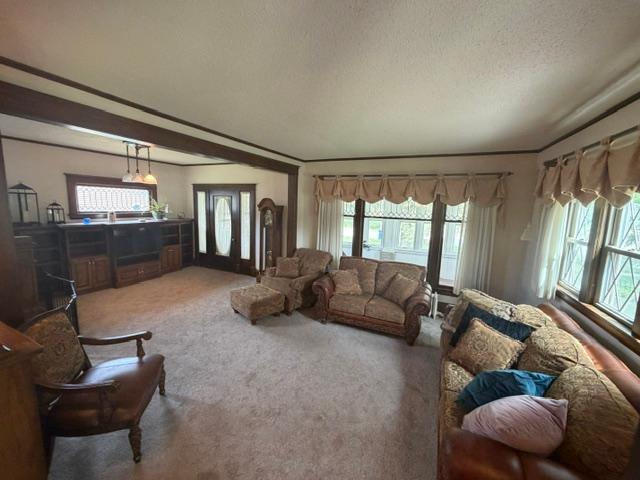 Living room entry.JPG