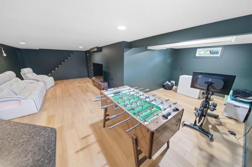 Lower level family room / rec room / excercise room