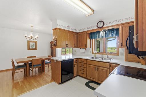 18 Mill Avenue, Minnesota Lake, MN 56068