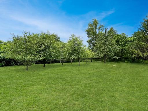 8254 110th Street, Spring Valley, WI 54767