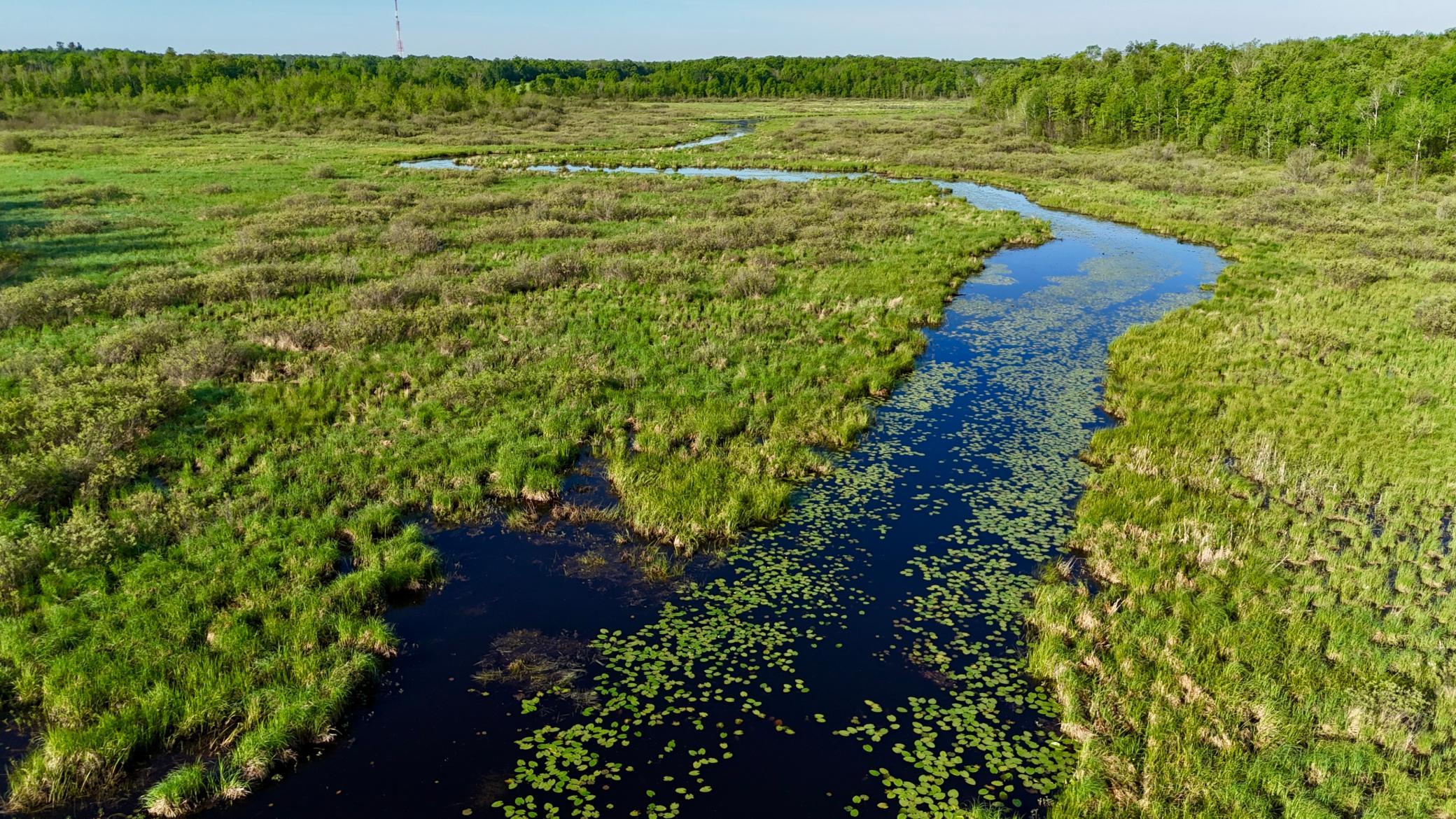 You are able to canoe about 1 mile up river and
