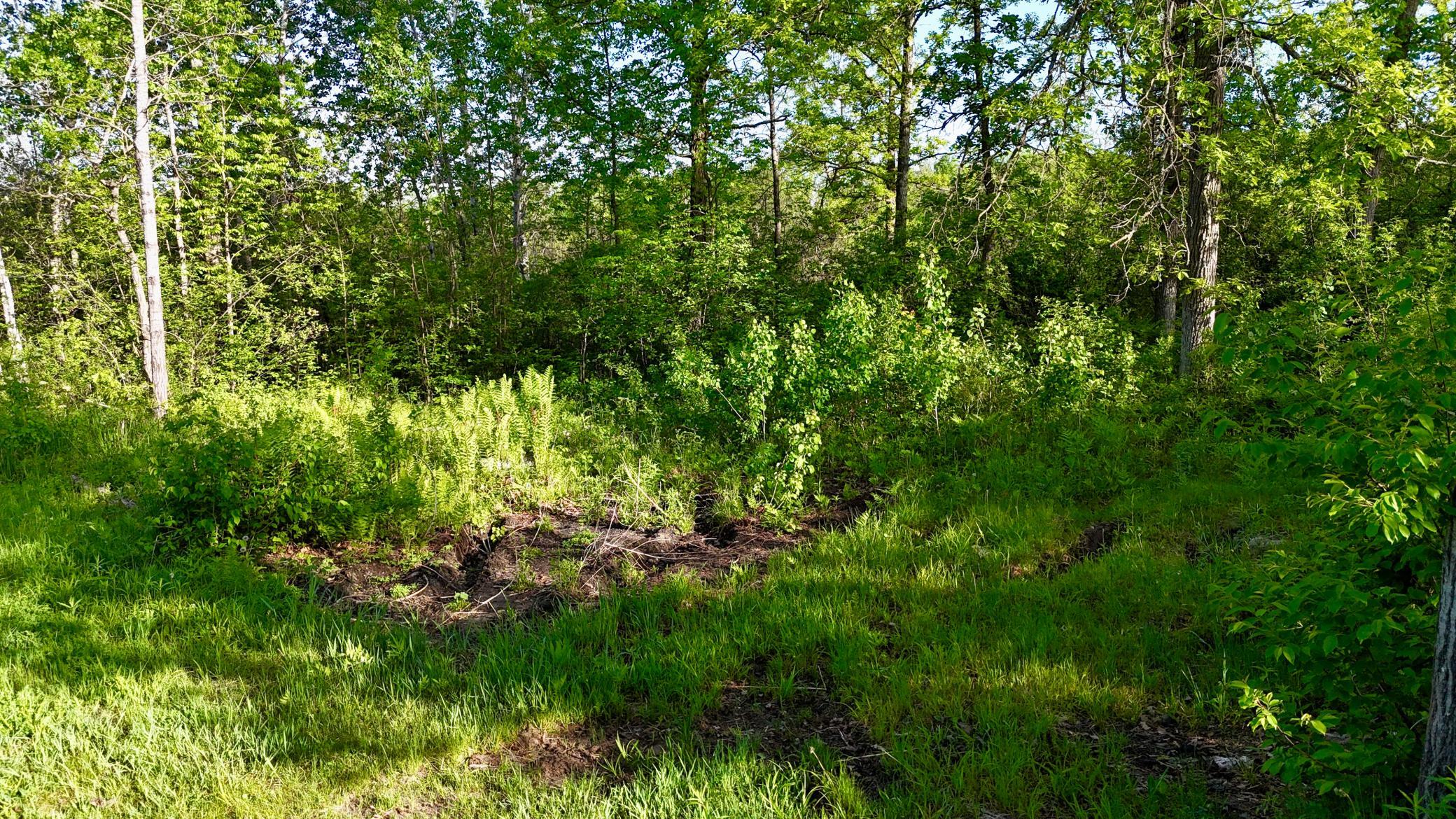 The seller had garden areas through the property.
