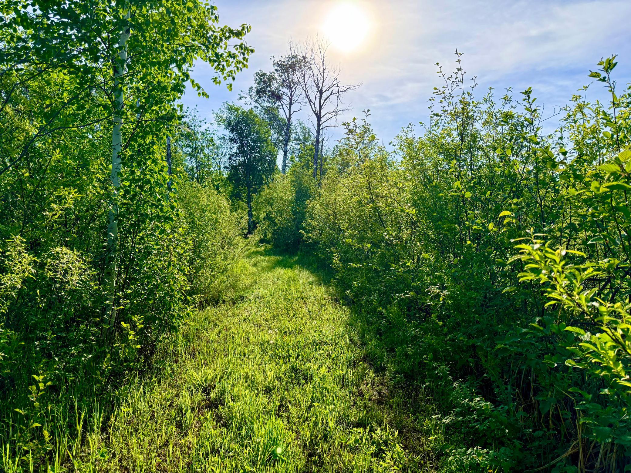 TBD Highway 65, Isle, MN 56342