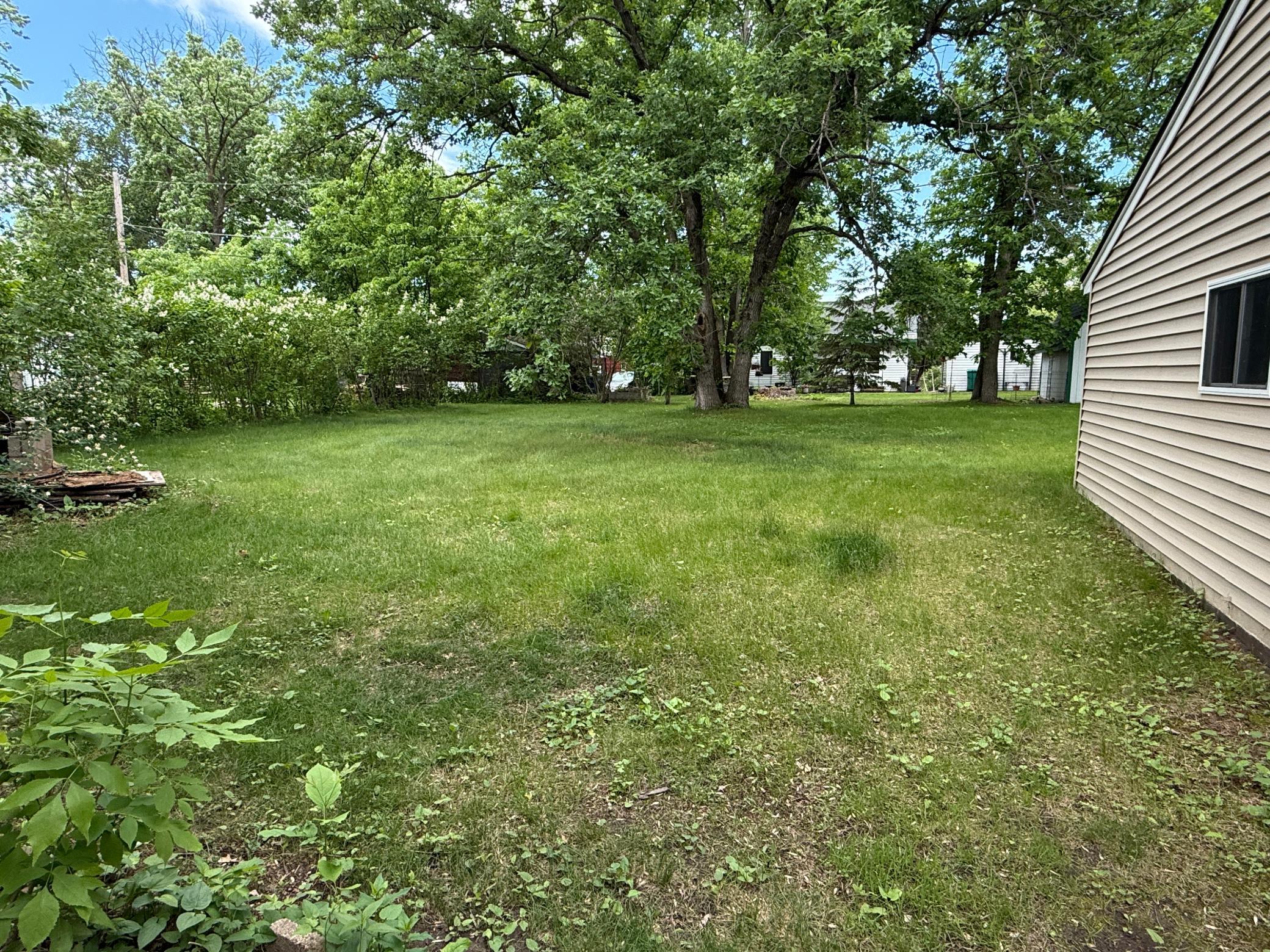 Back Yard