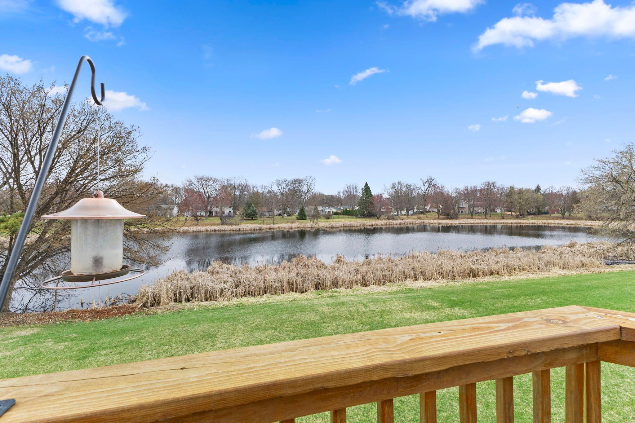 Gorgeous Pond and Wildlife Views
