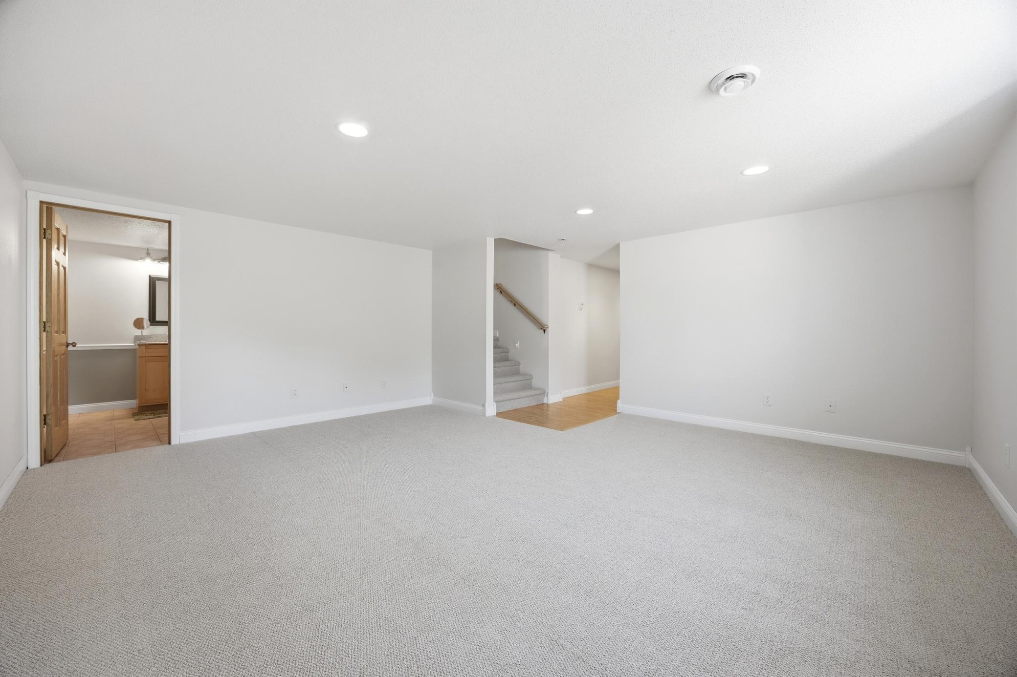 Basement Family Room