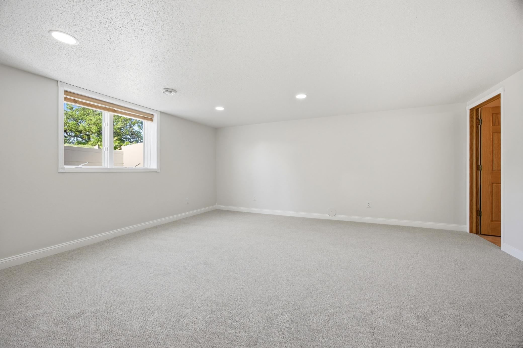 Basement Family Room