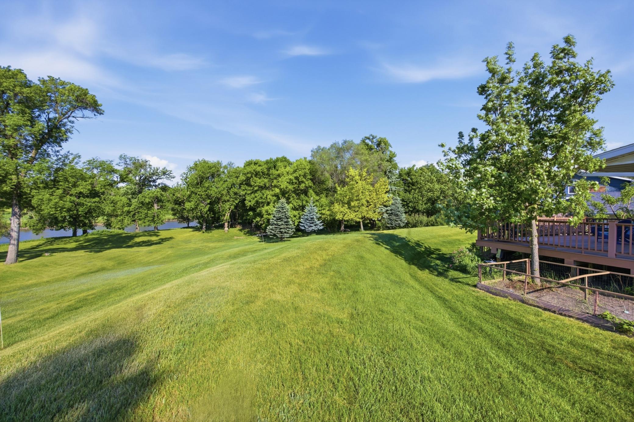 Expansive Backyard