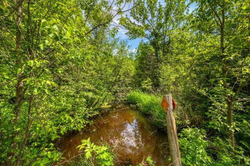 Creek that runs behind property