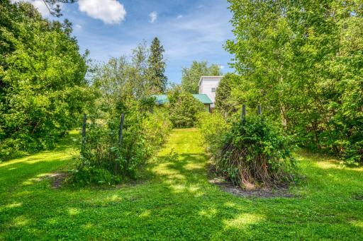 Garden area