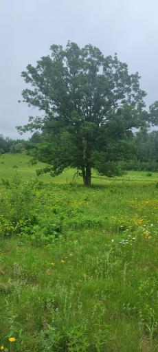 20260609_100726.jpg