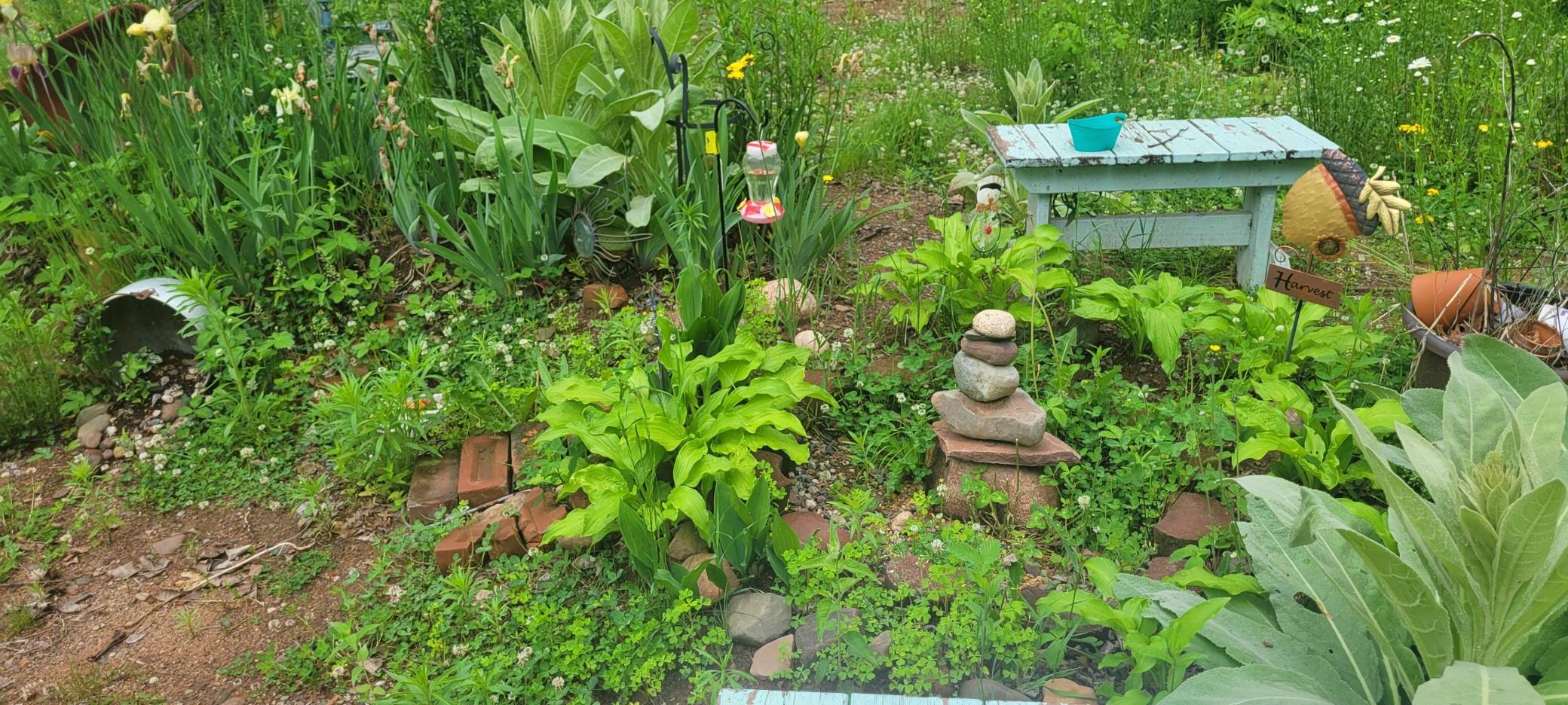 20260609_102204.jpg