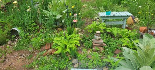 20260609_102204.jpg