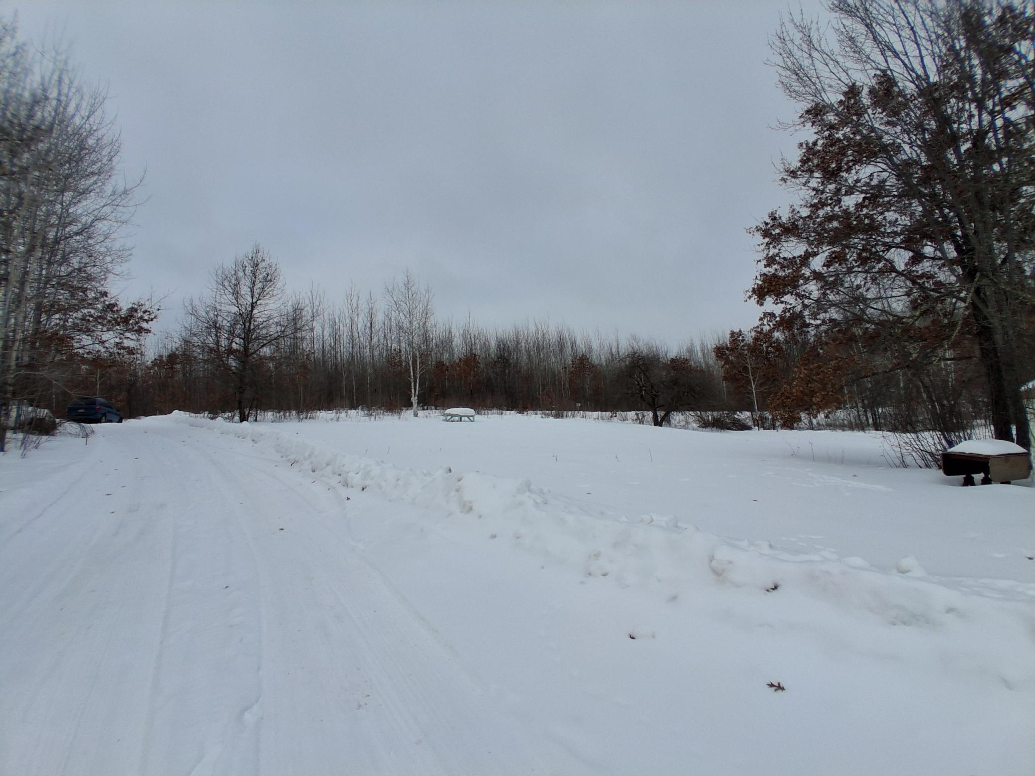 20260205_113451.jpg