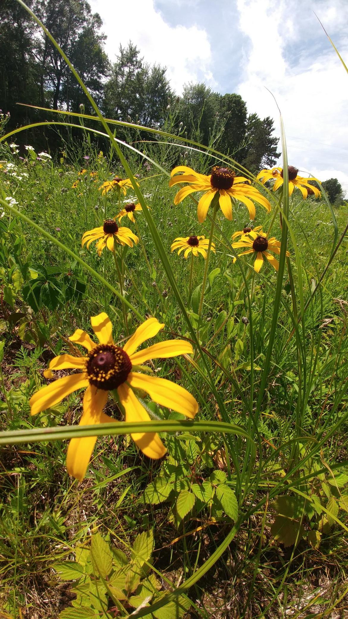 20160710_125958.jpg