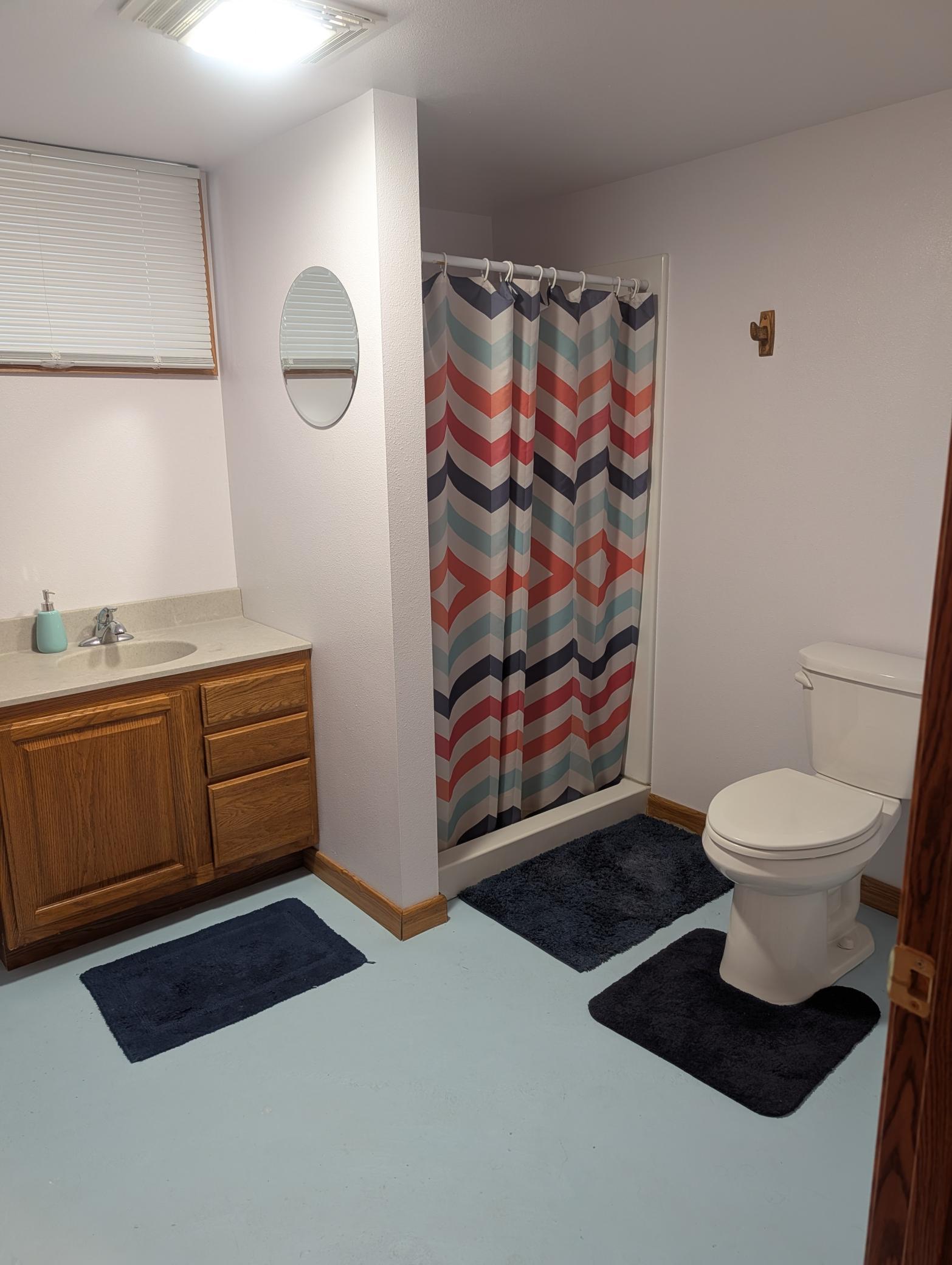 New basement bathroom