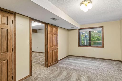 Lower Level 5th Bedroom
