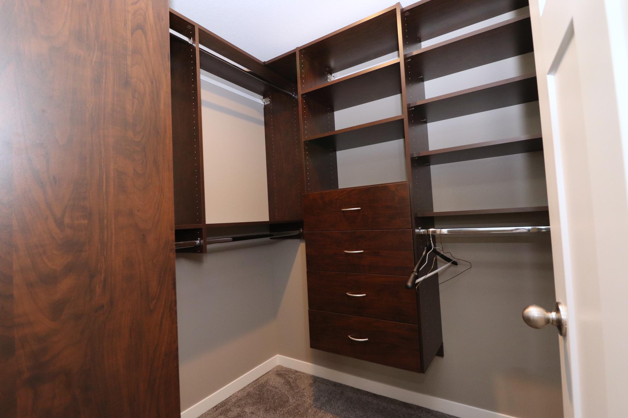 Lowr level bedroom closet