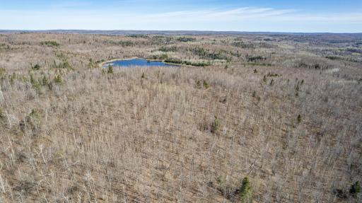 TBD Mountain Home Tr, Little Marais, MN 55614