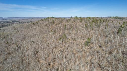 TBD Mountain Home Tr, Little Marais, MN 55614