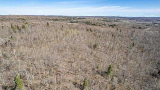 TBD Mountain Home Tr, Little Marais, MN 55614