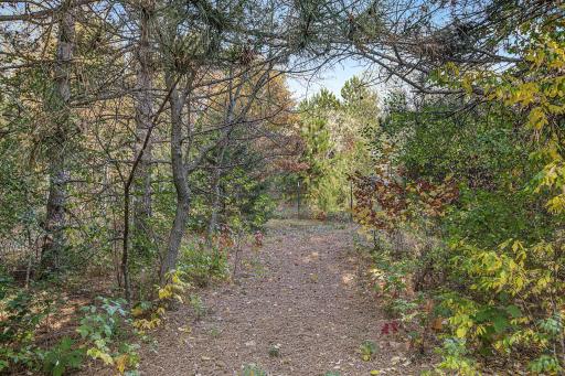10095 367th Street, North Branch, MN 55056