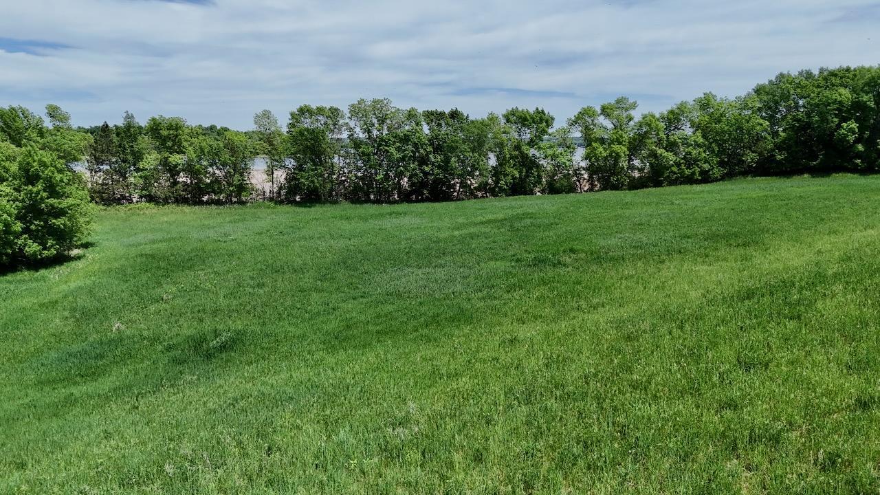 DJI_20260602141752_0423_D.jpeg