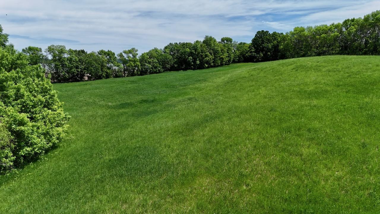 DJI_20260602141742_0422_D.jpeg