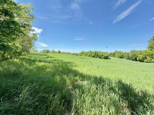 44662 County Highway 31, Pelican Rapids, MN 56572