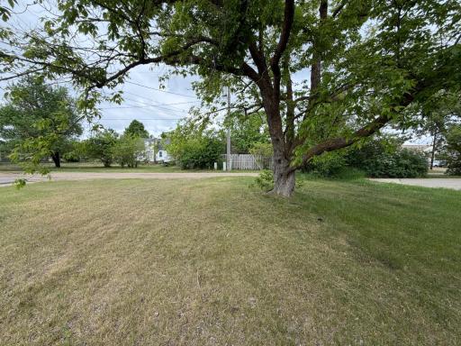 Bemidji, MN 56601