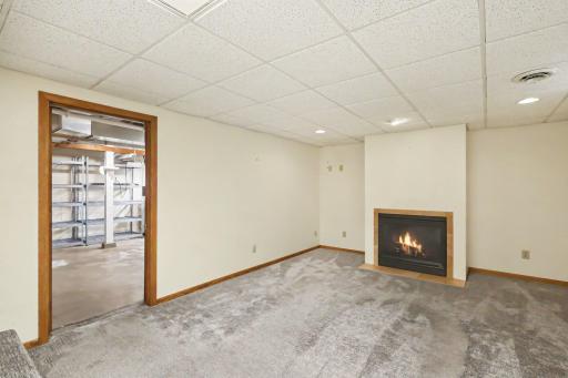 Lower level family room