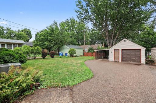 Backyard/driveway