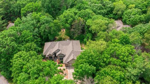 Set among the trees, the home offers space, privacy, and a true connection to nature.