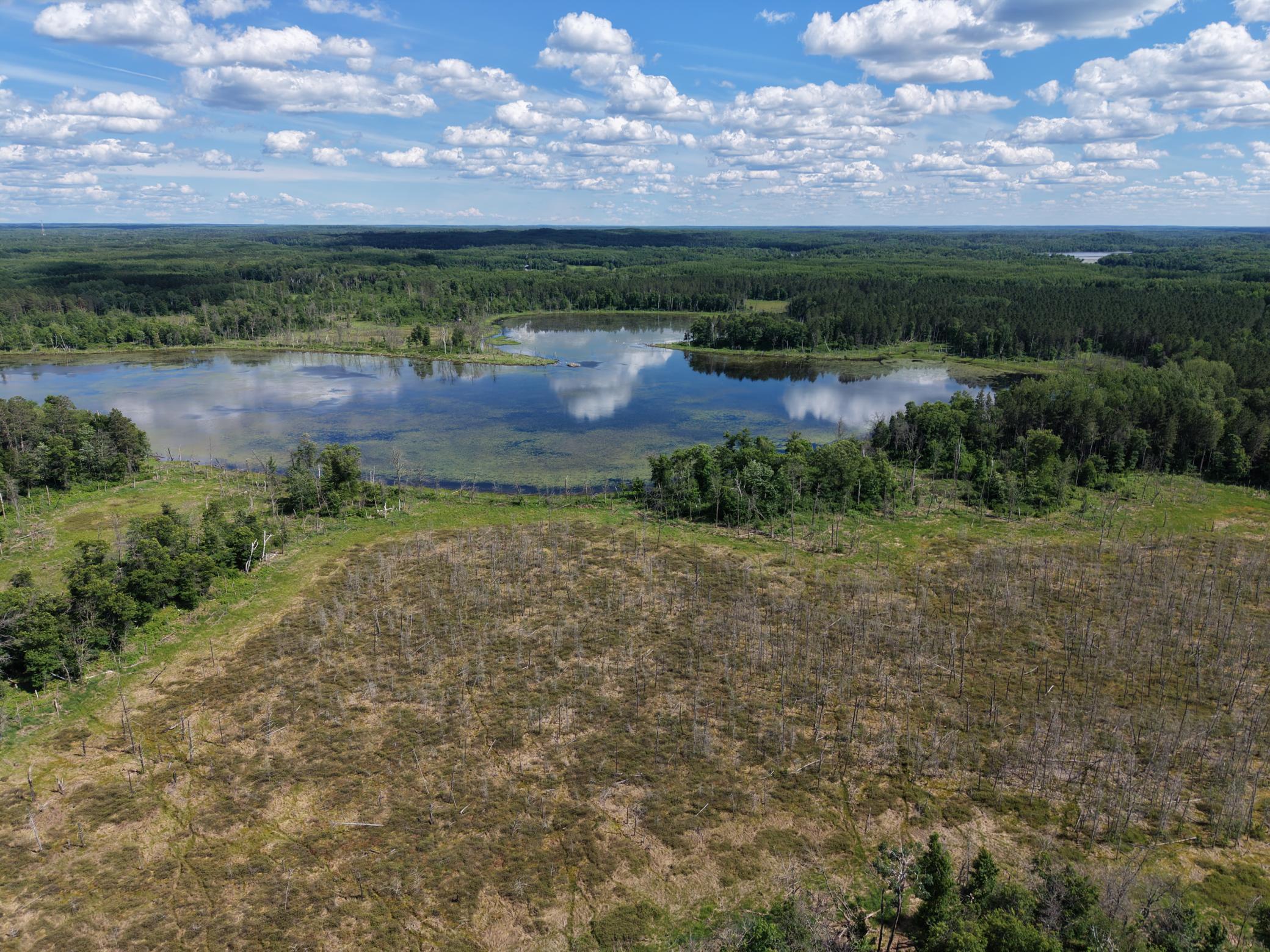 dji_fly_20260616_155314_0005_1781712528393_photo.JPG