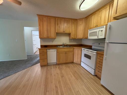Modern cabinets and new fridge