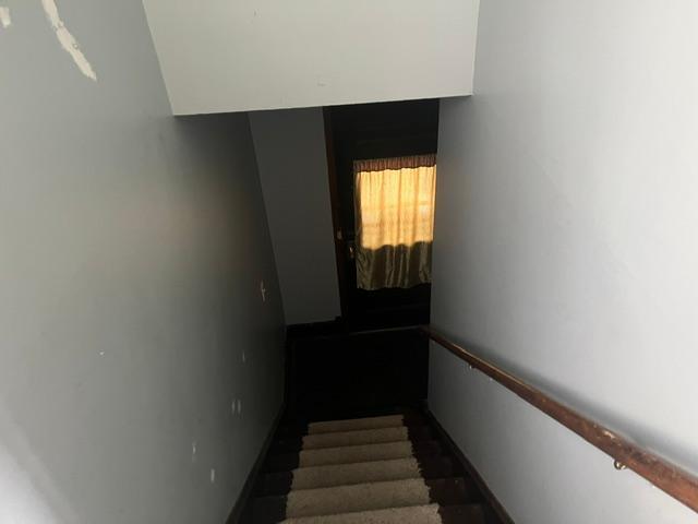 IMG_0231.jpeg
