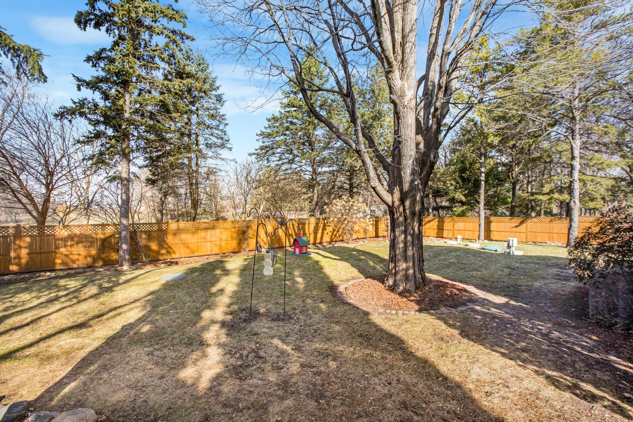 Fenced are of the back yard