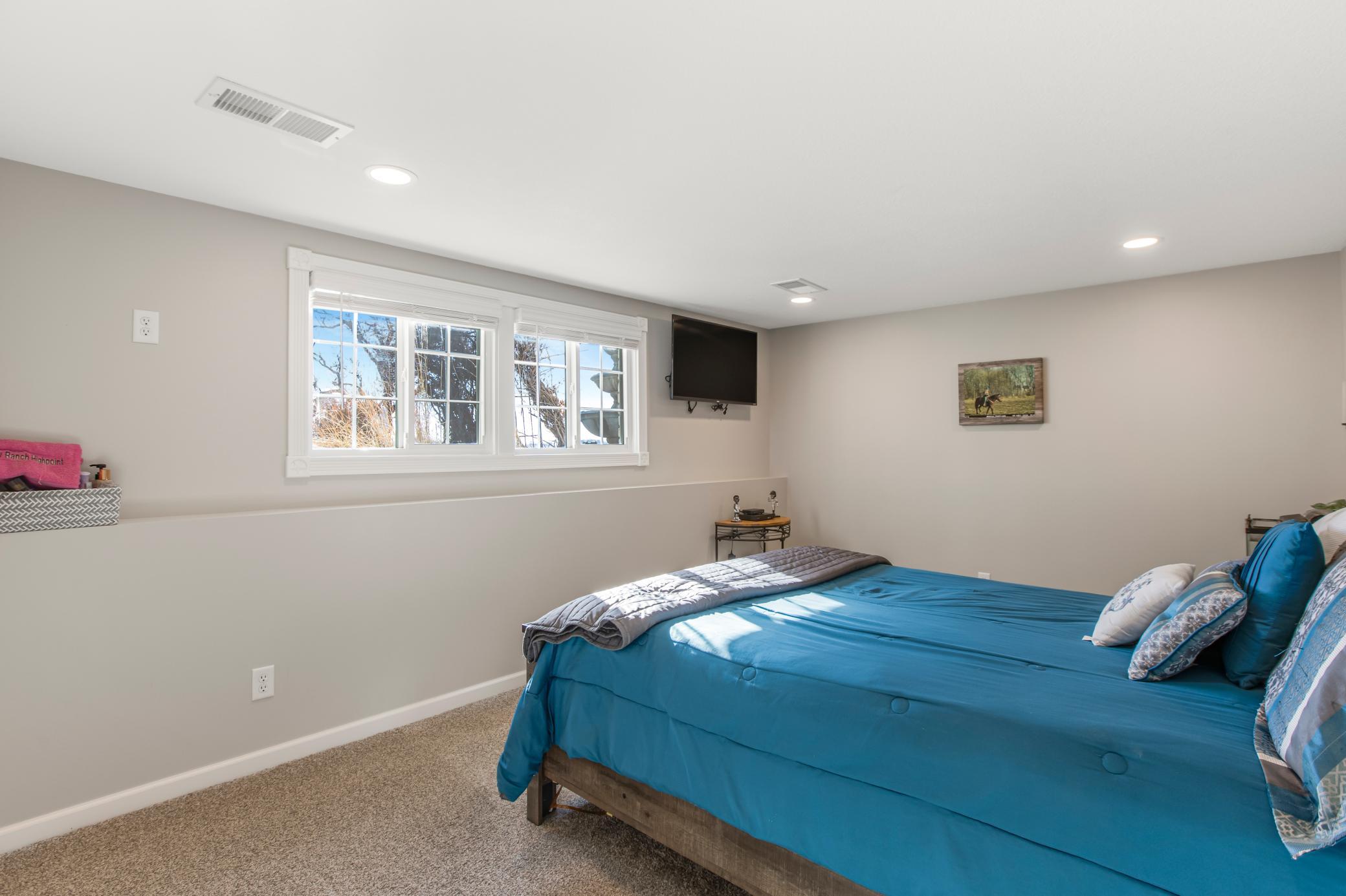 Lower level bedroom