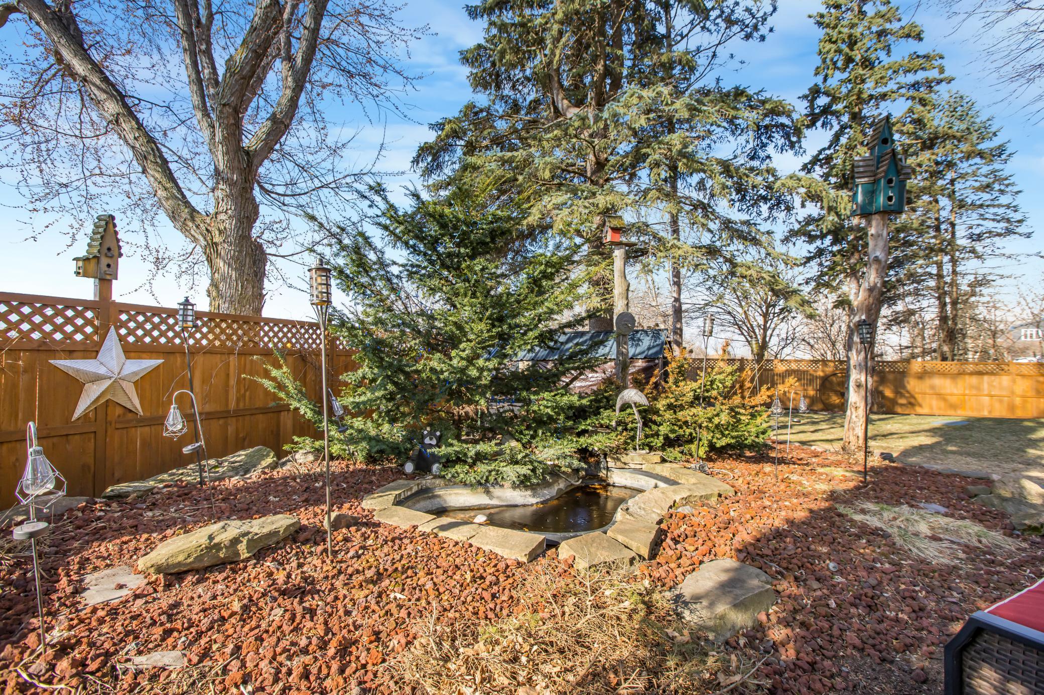 Back yard